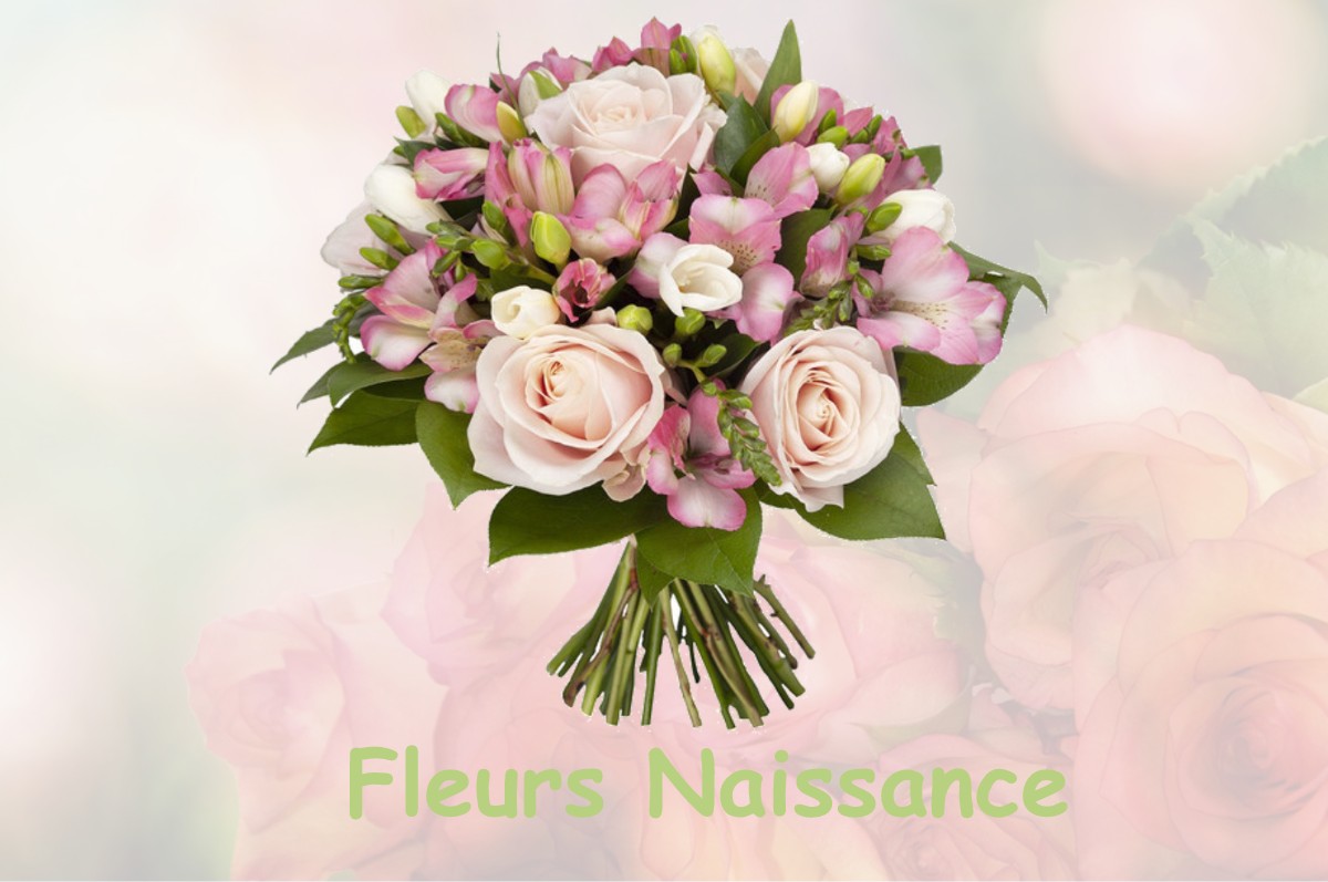 fleurs naissance RAON-AUX-BOIS