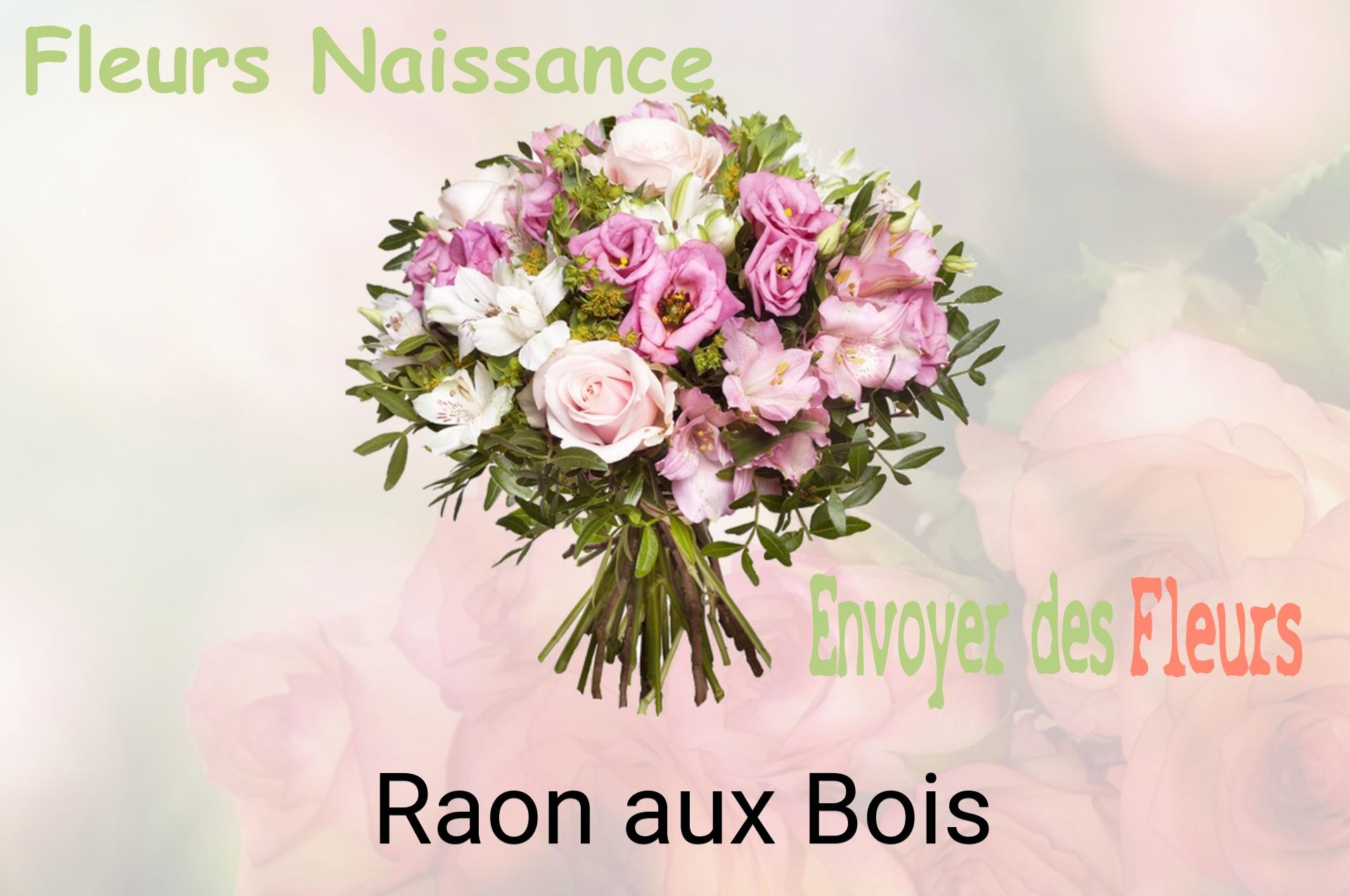Bouquet de fleurs de naissance livré à Raon-aux-Bois