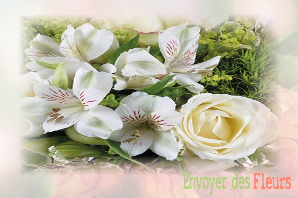 envoyer des fleurs à à RAON-AUX-BOIS